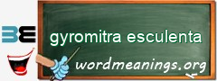 WordMeaning blackboard for gyromitra esculenta